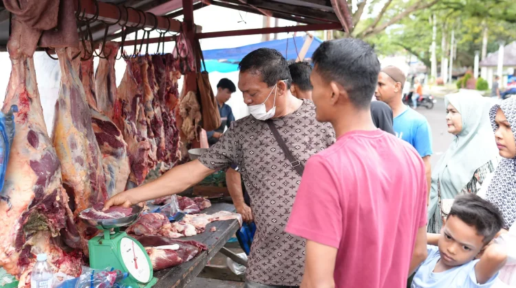 Hewan Ternak di Sabang Dipastikan Bebas Cacing Hati