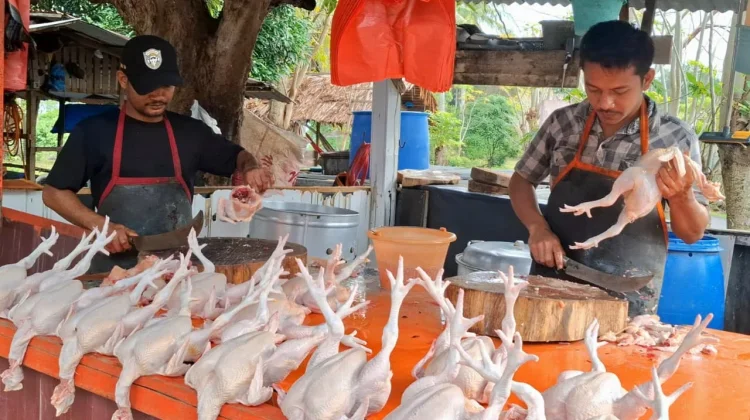 Harga Ayam di Sabang Melonjak