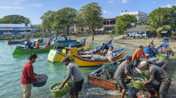 Aktivitas Nelayan Mulai Kembali Normal, Pasca Idul Fitri
