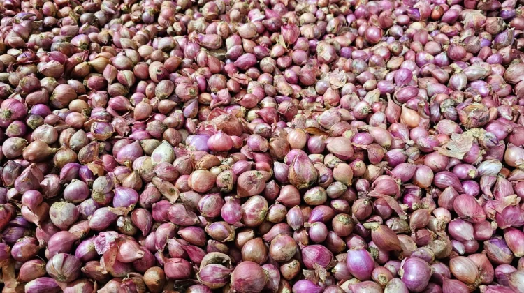 Harga Bumbu Dapur dan Sayuran di Sabang Stabil, Pasokan Masih Aman