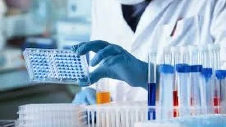 Abaikan Tes Laboratorium Bisa Jadi “Bom Waktu” bagi Kesehatan