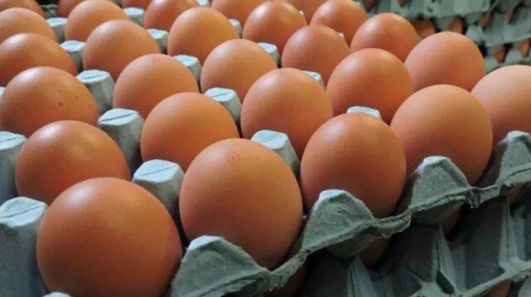 Harga Telur di Pasar Induk Sabang Turun Rp55ribu Perpapan