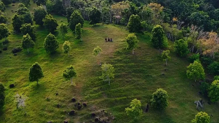 Kebun Cengkeh di Sabang Disulap jadi Objek Wisata