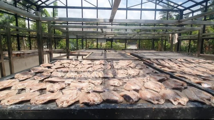Usaha Ikan Asin Jaboi Tembus Pasar Luar