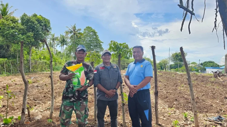 Lanud Maimun Saleh Genjot Ketahanan Pangan dari Lahan hingga Ternak
