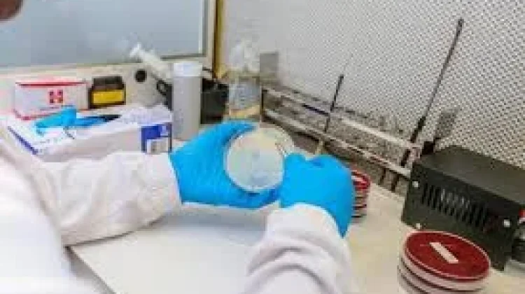Sehat Lebih Awal, Tes Laboratorium Penting untuk Deteksi Dini Penyakit
