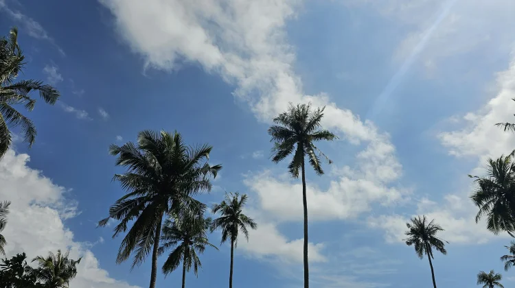 Cuaca Banten Hari Ini Cerah Berawan