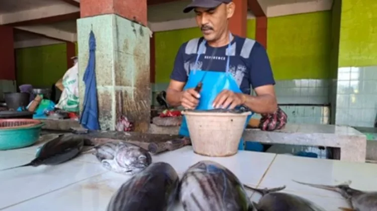 Harga Ikan dan Udang di Pasar Sabang Masih Stabil, Tongkol Rp45 Ribu per Kilogram