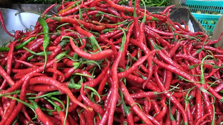 Harga Cabai Merah di Sabang Naik Jadi Rp42 Ribu per Kilogram