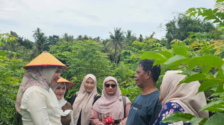 Budidaya Buah Naga di Sabang Punya Potensi Ekonomi Menjanjikan