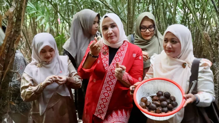 Salak Balohan Jadi Potensi Agrowisata Baru di Sabang
