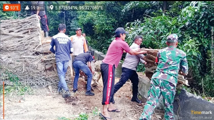 Pohon Tumbang Tutup Akses Jalan di Sabang
