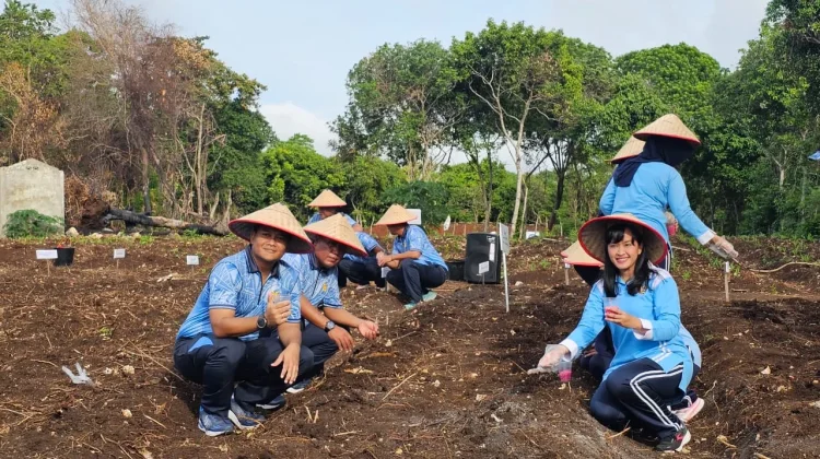 Dukung Ketahanan Pangan, Lanud MUS Tanam Jagung Pipil dan Singkong