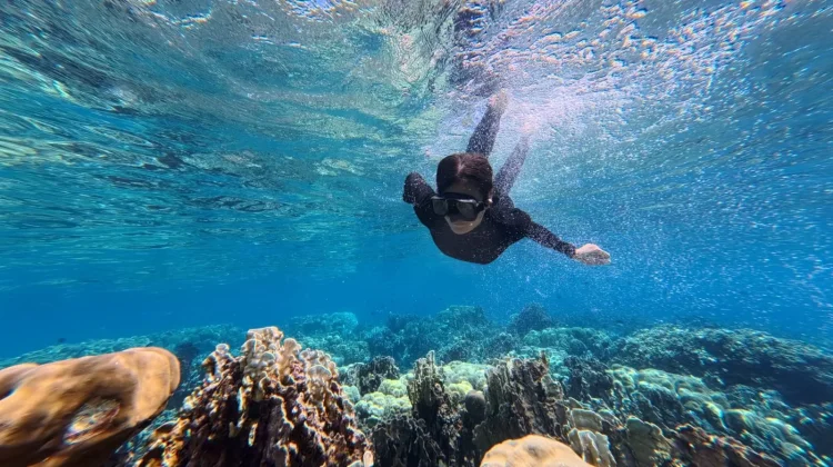 Mahasiswa FPS Kembangkan Wisata Paddle Board dan Snorkeling Jaboi