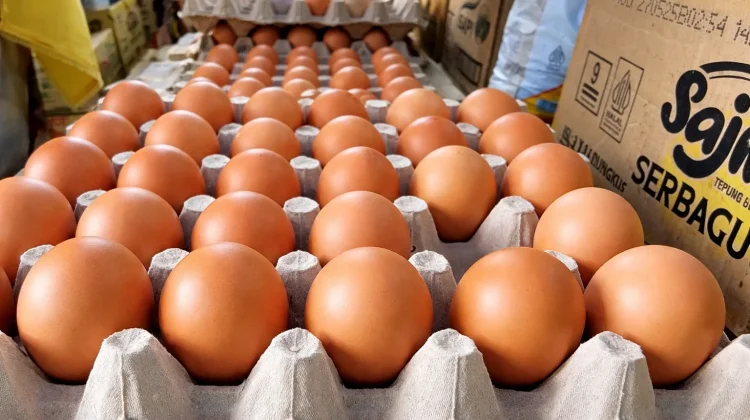 Harga Telur Ayam di Sabang Tembus Rp58 Ribu per Papan