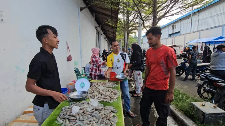 Harga Udang di Sabang Capai Rp120 Ribu per Kilogram