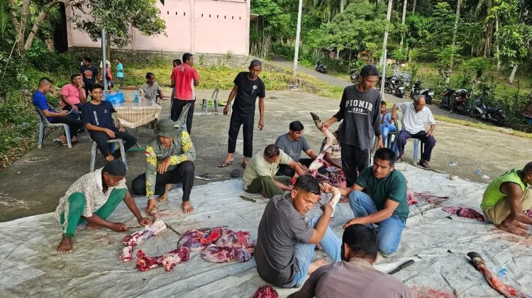Semangat Gotong Royong Warnai Pelaksanaan Kurban di Sabang