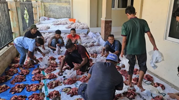 Kemenag Sabang Sembelih 10 Sapi Kurban