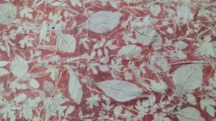 Ecoprint Dinilai Jadi Peluang UMKM Ramah Lingkungan