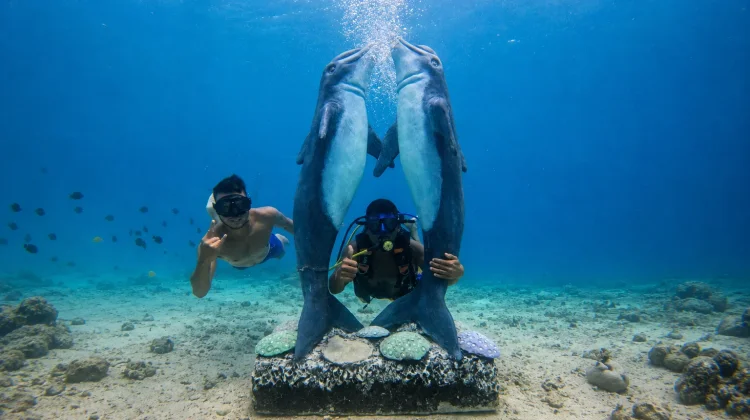 Spot Wisata Bawah Laut Baru di Pulau Rubiah Jadi Daya Tarik Wisatawan