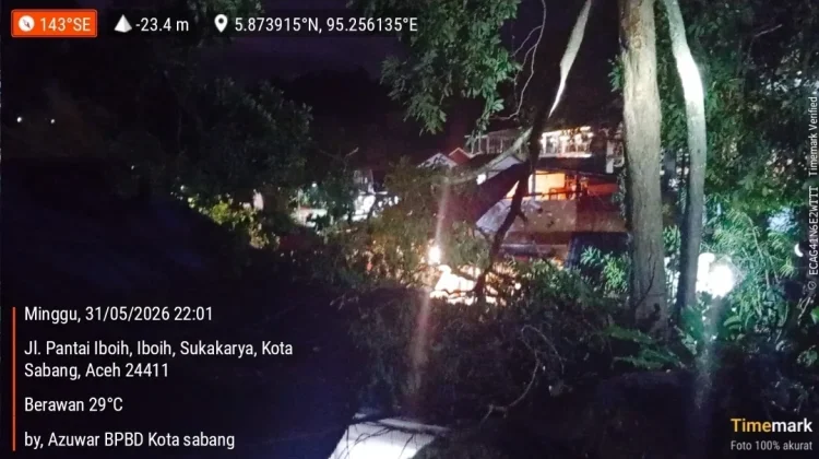 Pohon Tumbang Ganggu Aktivitas Warga di Iboih, Tidak Ada Korban