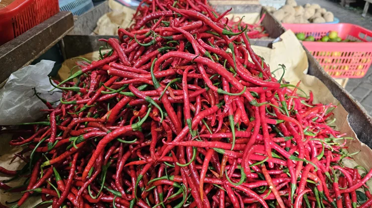 Harga Bumbu Dapur di Sabang Turun, Sayuran Relatif Stabil