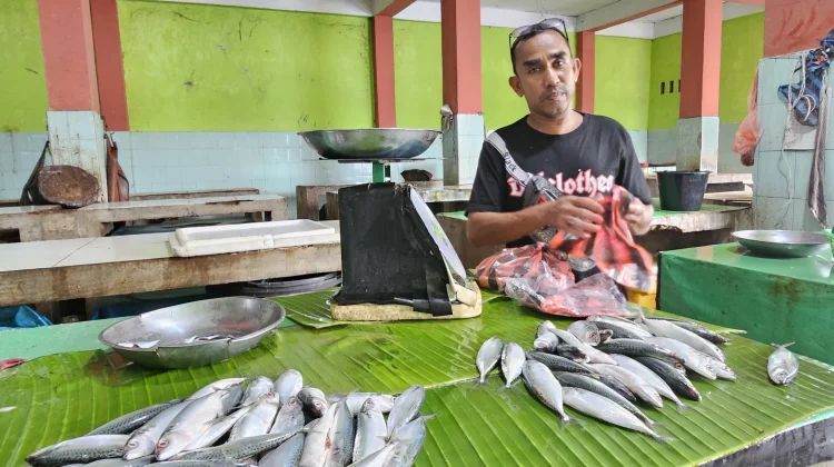 Harga Ikan di Sabang Stabil meski Cuaca Tidak Menentu