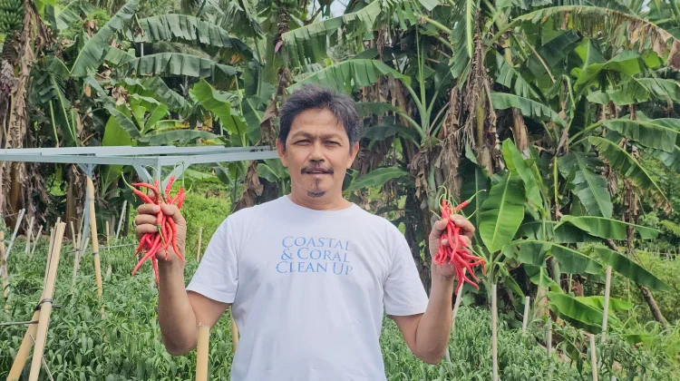 Pengembangan Cabai BUMG Cot Ba’u Diharapkan Berkelanjutan