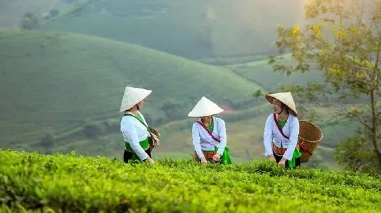 Petani Milenial Dorong Anak Muda Terjun ke Pertanian Modern