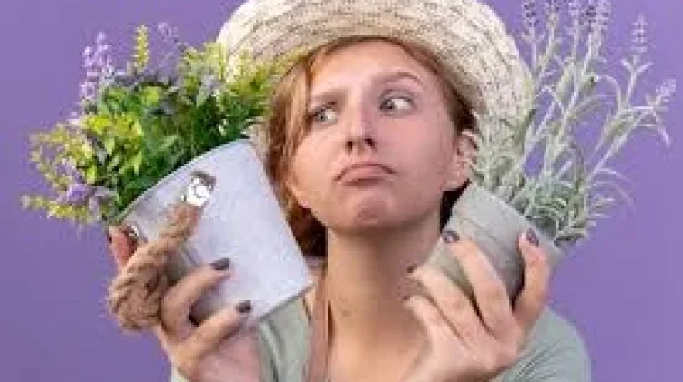 Mahasiswa USK Hadirkan BioJustice AI untuk Deteksi Eco Anxiety