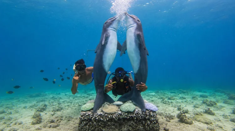 Desa Wisata Iboih Wakili Aceh pada Showcase KKI 2026