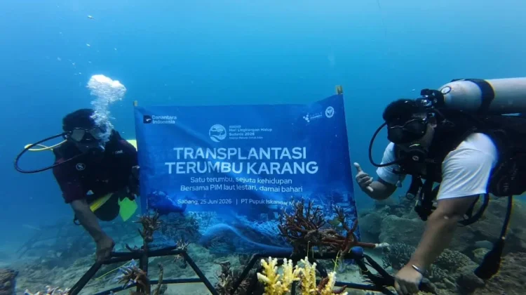PT Pupuk Iskandar Muda Perkuat Konservasi Laut lewat Transplantasi Terumbu Karan