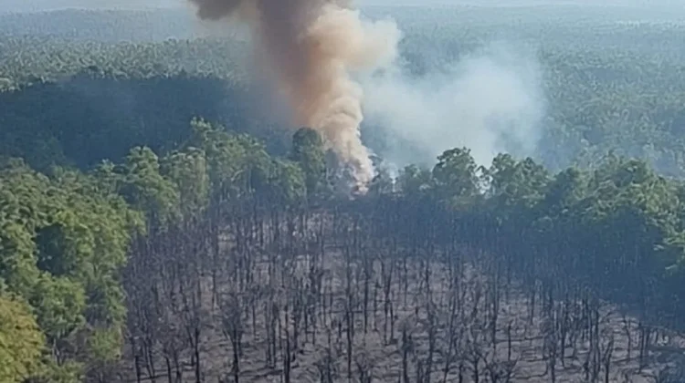 Cuaca Ekstrim Redam Hotspot di Aceh, Jumlah Titik Panas Turun