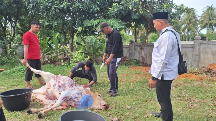 Dari Infak Bersama, MTsN Sabang Gelar Kurban Perdana