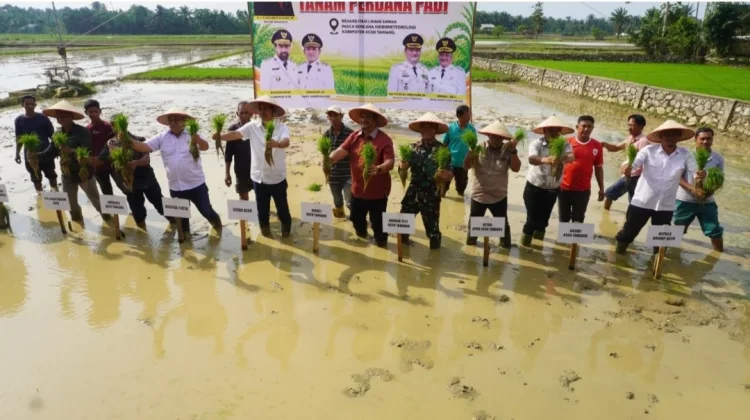 Aceh Percepat Rehabilitasi Sawah Pascabencana, Dibantu Dukungan Kementan