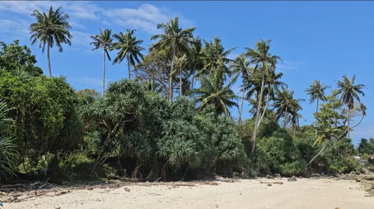 Pantai Keuramat Layak Menjadi Spot Wisata Unggulan