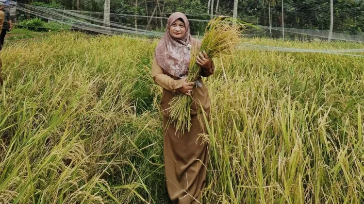 Bateshok Diproyeksikan Jadi Percontohan Ketahanan Pangan Sabang