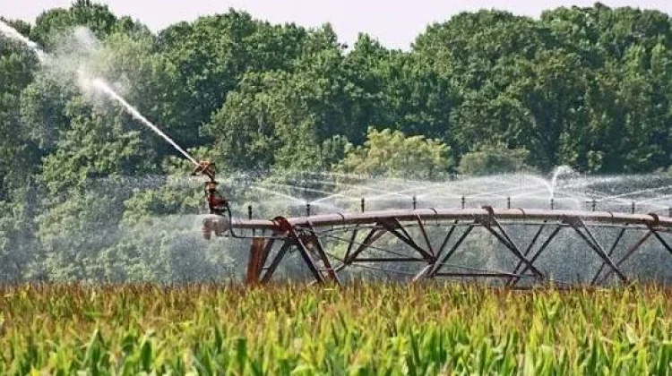 Teknologi Dinilai Perkuat Adaptasi Petani Hadapi Krisis Iklim