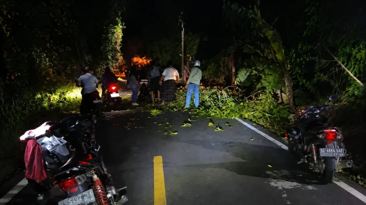 Pengendara Motor Terjatuh akibat Dahan Pohon Patah di Sabang