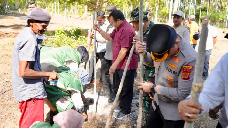 Wali Kota Sabang Dorong Pengembangan Padi Gogo di Lahan Kosong