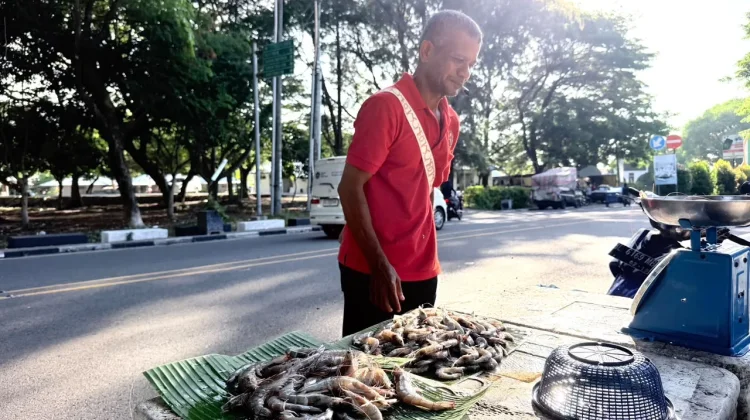 Permintaan Maulid Naik, Stok Udang di Sabang Terbatas