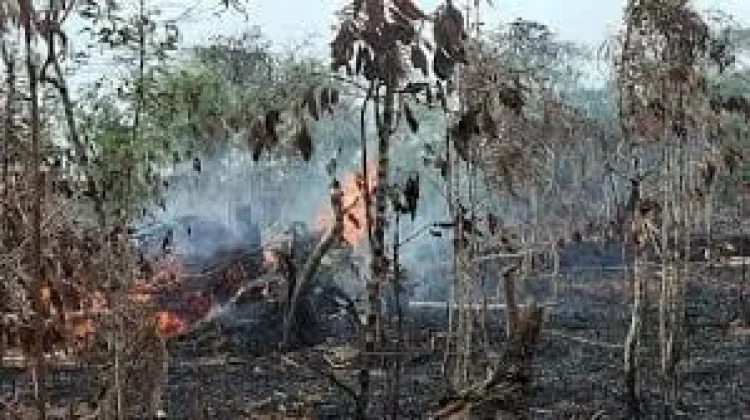 BMKG Catat 77 Titik Panas di Aceh, 9 Zona Merah
