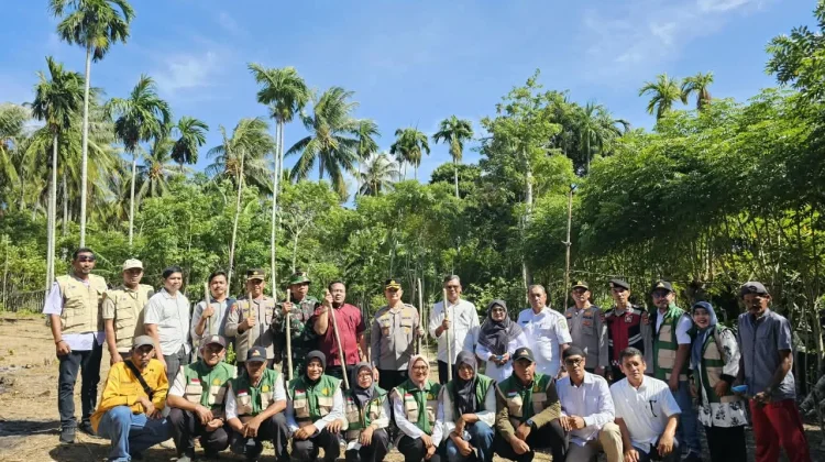 Padi Gogo di Sabang Ditargetkan Berkembang hingga 40 Hektare