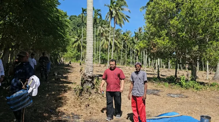 Petani Padi Gogo di Sabang Kembali Tanam di Lahan 5.000 Meter