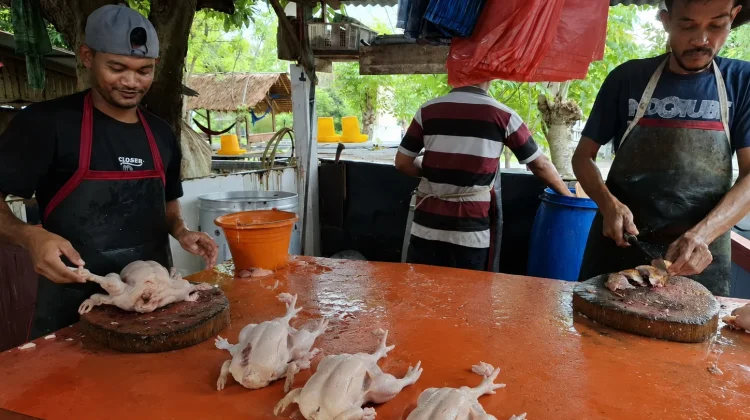 Stok Menipis, Harga Ayam Potong di Sabang Capai Rp70 Ribu per Ekor