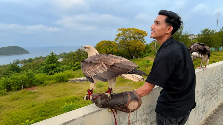 Atraksi Elang di Lhok Igeuh Jadi Daya Tarik Menjelang Sunset