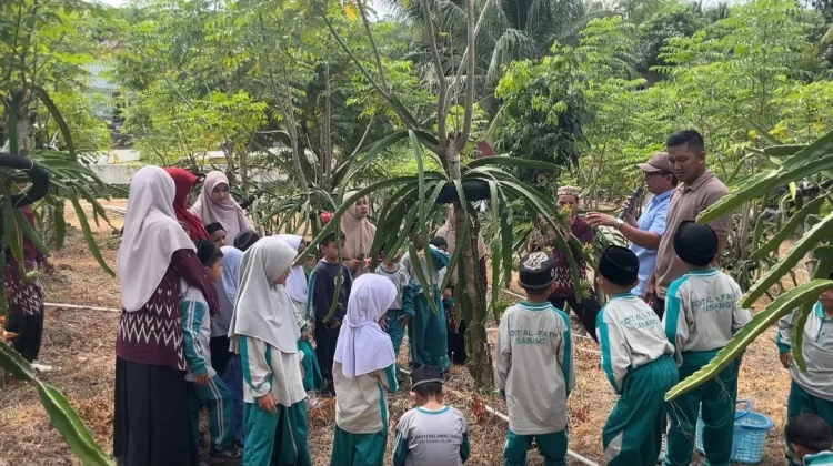 Dragon Park Jaboi Dikembangkan sebagai Sarana Edukasi Agrowisata
