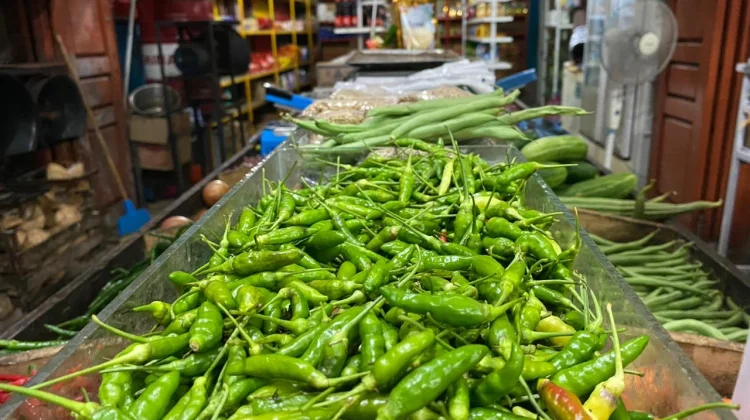 Harga Cabai di Sabang Melonjak, Cabai Rawit Tembus Rp65 Ribu per Kilogram