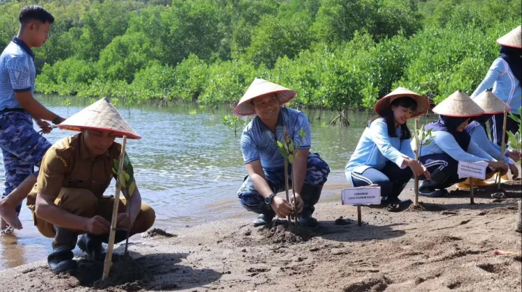 Lanud Maimun Saleh Tanam Mangrove, Jaga Kelestarian Pesisir Sabang