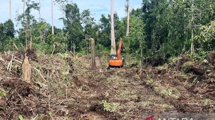 Infrastruktur Restorasi Gambut Aceh Banyak Rusak